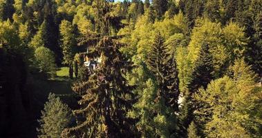 Ancient Romanian Castle in the Heart of Awesome Autumn Green Forest, Pelisor video