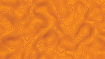 Abstract topographic contour line pattern solid background vector map.