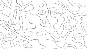 Abstract topographic contour line pattern solid background vector map.