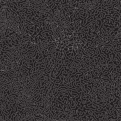 Hand drawn organic complex line art with abstract shapes, vector seamless pattern.