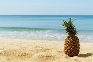 Pineapple on the beach photo