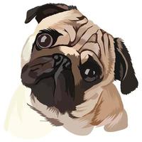 Cute dibujos animados de perro pug, ilustración vectorial vector