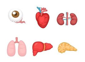 Human organ body part symbol for transplantation donation illustration vector