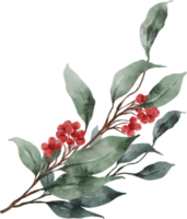folhas de natal em aquarela e azevinho png