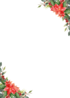 cadre de fleurs de feuilles de noël aquarelle png