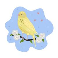 Canary on the branch with flowers vector