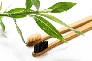 Eco friendly toothbrushes and bamboo plant on white photo