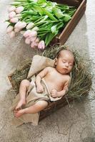 Cute little baby is lying in the wooden box and heap of pink tulips photo