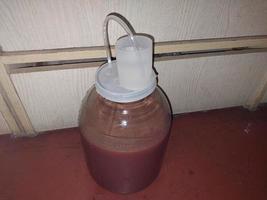 Production of grape pulp for making homemade wine must photo