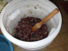 Production of grape pulp for making homemade wine must photo