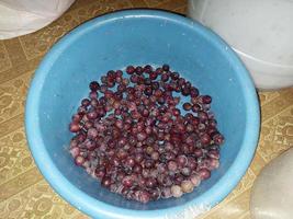 Production of grape pulp for making homemade wine must photo