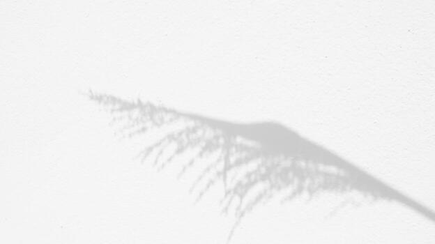 Seamless texture of white cement wall a rough surface and leaf shadow, with space for text, for a background photo