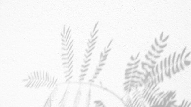 Seamless texture of white cement wall a rough surface and leaf shadow, with space for text, for a background photo