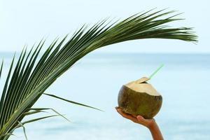 mano femenina con una bebida de coco y hoja de palma foto