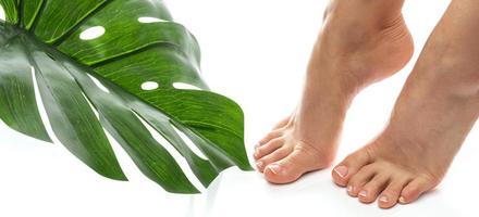 Female feet with soft skin and french manicure on white background photo