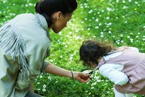Mother and daughter with a magnifier are exploring a chamomile field photo