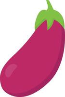 eggplant vector illustration on a background.Premium quality symbols.vector icons for concept and graphic design.