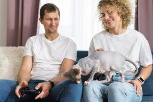 Couple and their Sphynx cat are relaxing at home photo