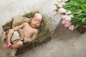 Cute little baby is lying in the wooden box and heap of pink tulips photo