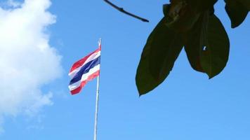 fotografera de thai flagga med tre färger röd vit och blå i en långsam rörelse på en lång Pol mot de himmel. en liten molnig de vind slag de flagga fladdrande i de vind. video