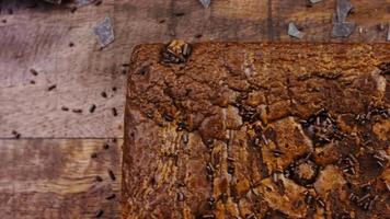 Brownie cake decorated with crumbled chocolate video