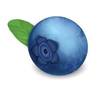 Raw blueberry icon, realistic style vector
