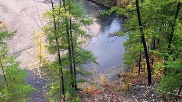 rio chulman no outono em neryungri. Yakutia do Sul, Rússia video