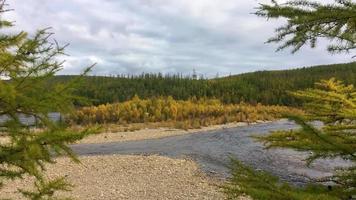 Chulman-Fluss im Herbst in Neryungri. Südjakutien, Russland video