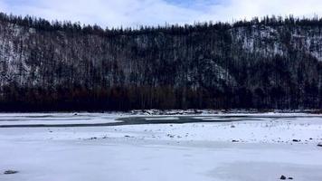 chulman flod i vinter- i neryungri. söder Yakutia, ryssland video