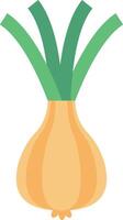 garlic vector illustration on a background.Premium quality symbols.vector icons for concept and graphic design.