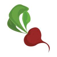 Radish icon, cartoon style vector