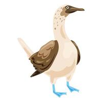 Blue footed booby icon, cartoon style vector