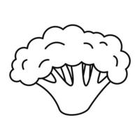 Fresh broccoli icon, outline style vector