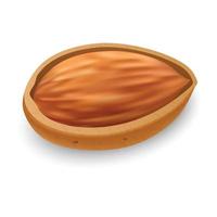 Raw almond icon, realistic style vector