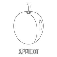 Apricot icon, outline style. vector