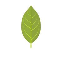 Persimmon leaf icon, flat style vector