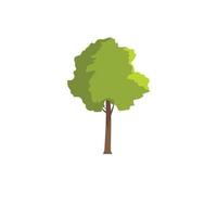 Hornbeam tree icon, flat style vector