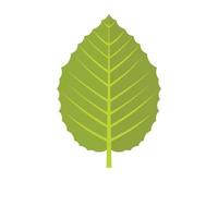 Hazel leaf icon, flat style vector