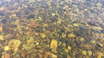 Ripples the surface of the water. The rocky bottom of the mountain river is visible through the clear water video