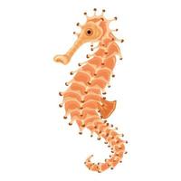 Sea horse icon, cartoon style vector