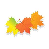 Set of autumn leaves icon, isometric style vector