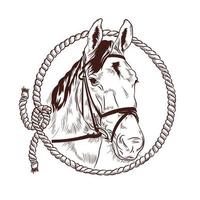 cabeza de caballo y cuerda de lazo ilustración vectorial. perfecto para rancho y logotipo estable vector