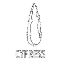 Cypress icon, outline style. vector