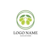 Extra virgin olive oil logo design vector