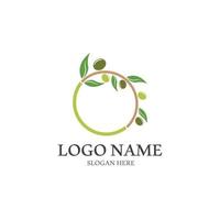 Extra virgin olive oil logo design vector