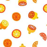 seamless pattern with citrus fruits. hand drawn vector illustration.
