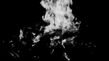 fuoco fiamme su nero sfondo, fiammata fuoco fiamma struttura sfondo, splendidamente, il fuoco è bruciando, fuoco fiamme con legna e mucca letame falò nero e bianca video