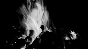 Fire flames on black background, Blaze fire flame texture background, Beautifully, the fire is burning, Fire flames with wood and cow dung bonfire Black and White video