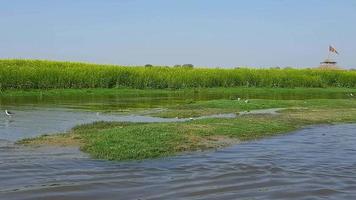 Uitzicht op de yamuna-rivier vanaf de boot in de dag bij vrindavan, krishna-tempel kesi ghat aan de oevers van de yamuna-rivier in de stad vrindavan, varen op de yamuna-rivier vrindavan video