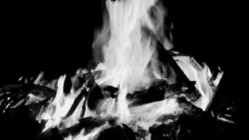 llamas de fuego sobre fondo negro, fondo de textura de llama de fuego blaze, maravillosamente, el fuego está ardiendo, llamas de fuego con madera y hoguera de estiércol de vaca en blanco y negro video